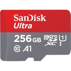 Carte mémoire SanDisk de 256GB