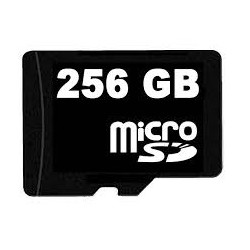 Carte SD 256GB